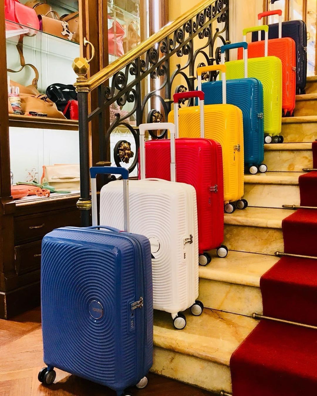 Falchini Siena - Pellettria Multibrand Siena: Borse, Valige e Accessori 